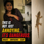No Smell Lizard Killer Spray (Free Gloves)