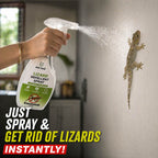 No Smell Lizard Killer Spray (Free Gloves)