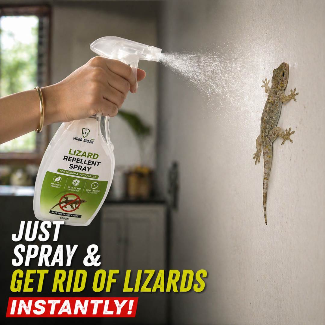 No Smell Lizard Killer Spray (Free Gloves)