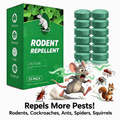 Natural Rodents Repellent Balls | BUY 1 GET 1 FREE!