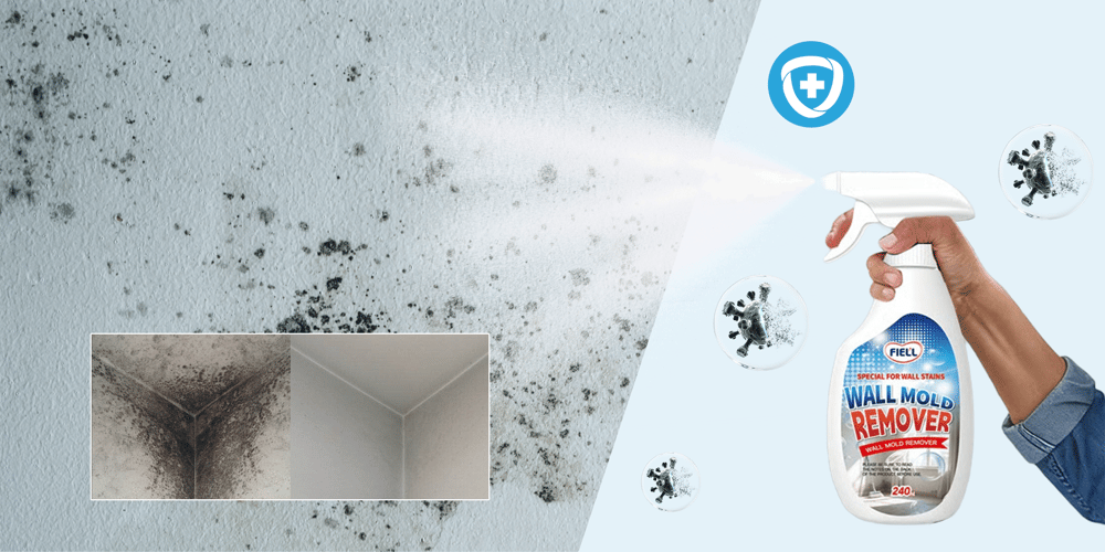 Wall Mold Remover Spray